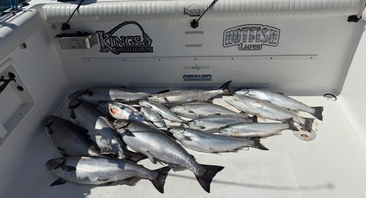 Lake Ontario Salmon Fishing banner