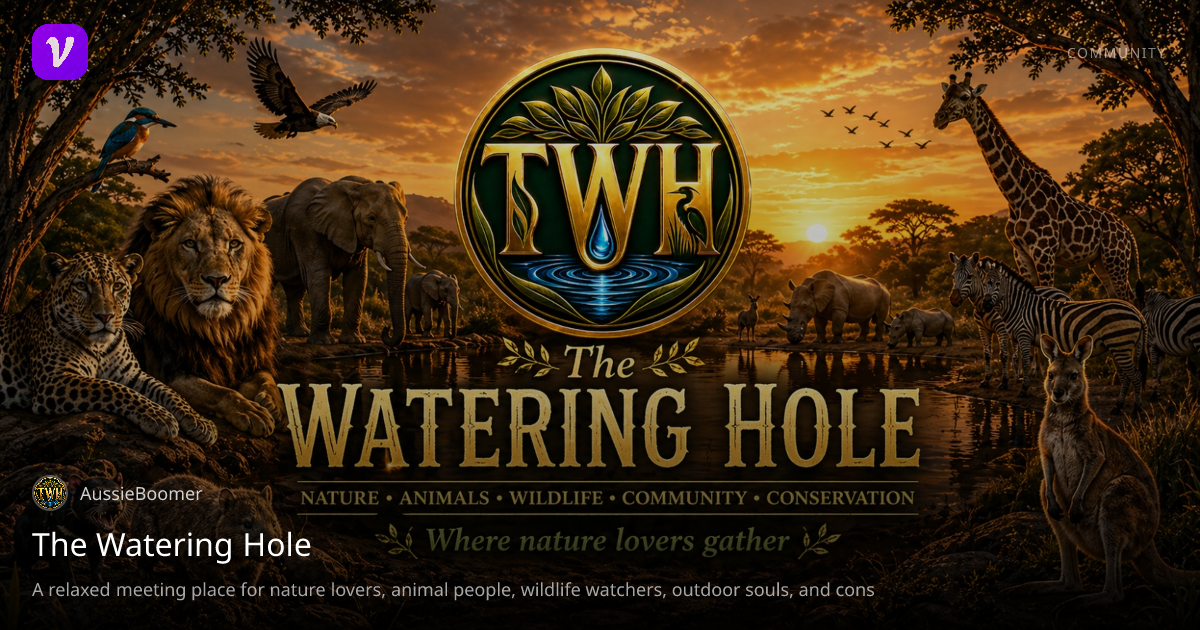 The Watering Hole